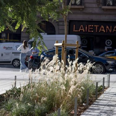 Reurbanización Via Laietana, distrito de Ciutat Vella-Barcelona. Desde Plaza Urquinaona hasta la c/ Joaquim Pou, y la c/ Jonqueres. - Ubicación: Barcelona