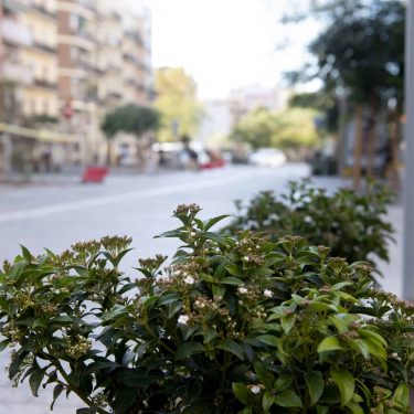 Reurbanización de la Calle Pi i Margall, distrito de Gràcia-Barcelona. Lote 1: Ámbito 1 de la calle Escorial – Calle Pau Alsina e incrementando los espacios verdes. - Ubicación: Barcelona