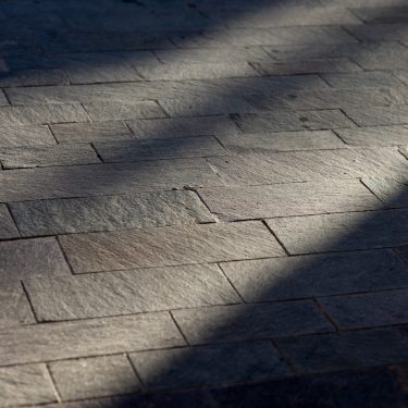 _DSC2639 (1)